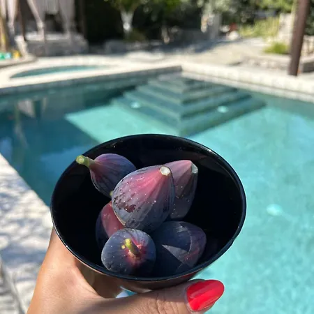 Летний дом Aithonas