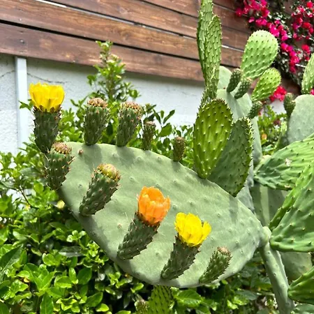 Casa rural Aithonas *