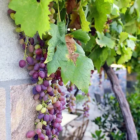 Aithonas Casa rural *