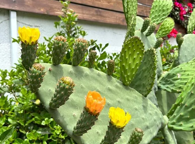 منزل ريفي Aithonas *