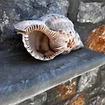Séjour à la campagne Aithonas Archangelos (Rhodes)