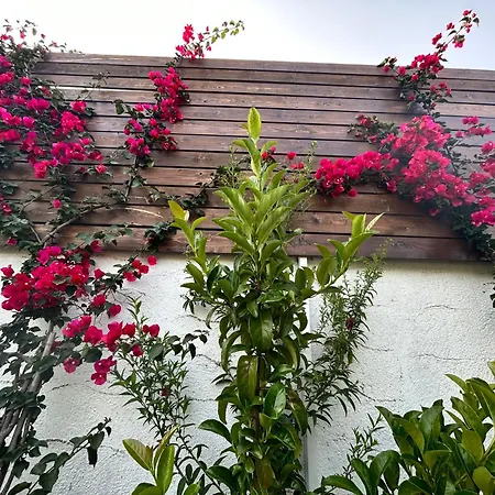 Aithonas Landhaus Archangelos (Rhodes)
