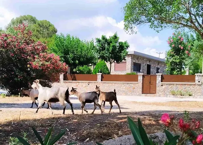 Aithonas * Archangelos (Rhodes)