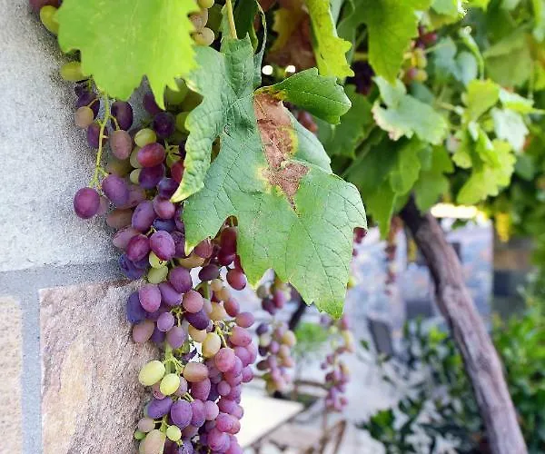 Aithonas Casa di campagna *