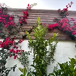 Aithonas Landsted Archangelos (Rhodes)