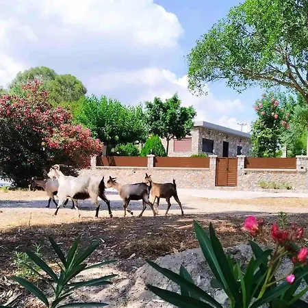 Aithonas * Archangelos (Rhodes)