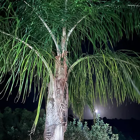 Aithonas Летний дом