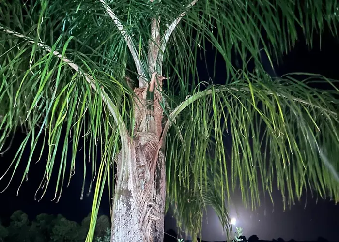 Aithonas Lantställe